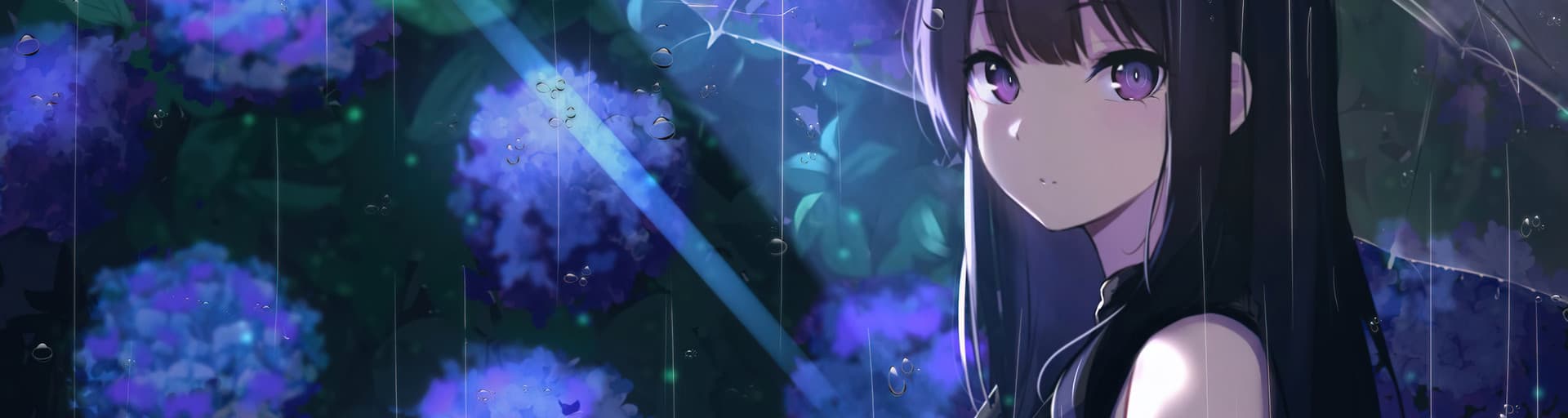 User profile banner