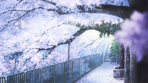 User profile banner