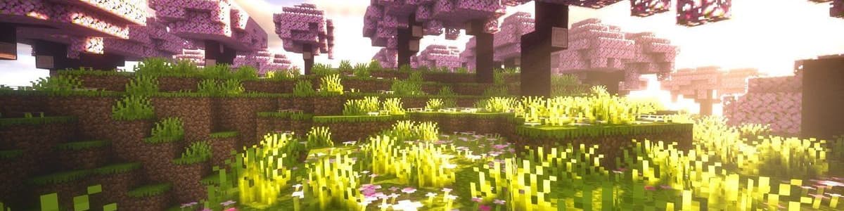 User profile banner