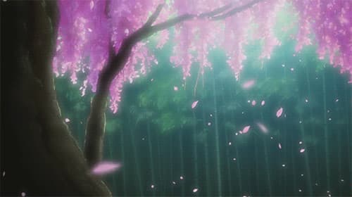 User profile banner