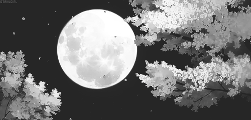 User profile banner