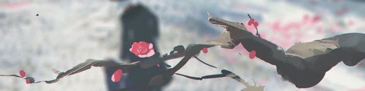 User profile banner