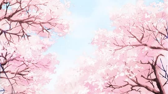 User profile banner