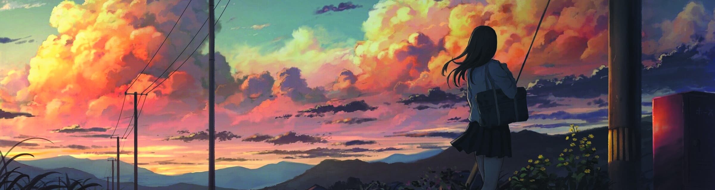 User profile banner