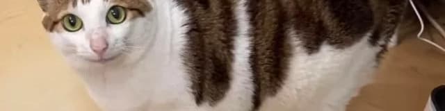 User profile banner
