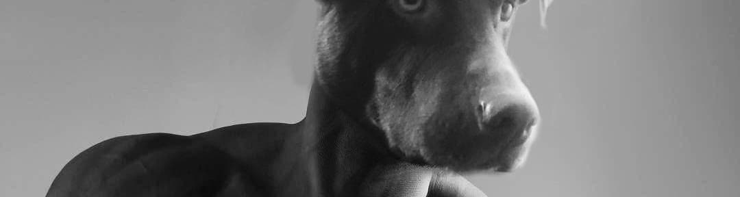 User profile banner