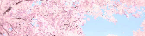 User profile banner