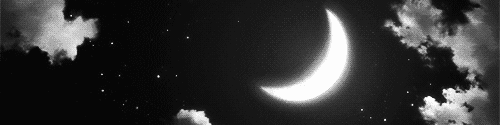 User profile banner