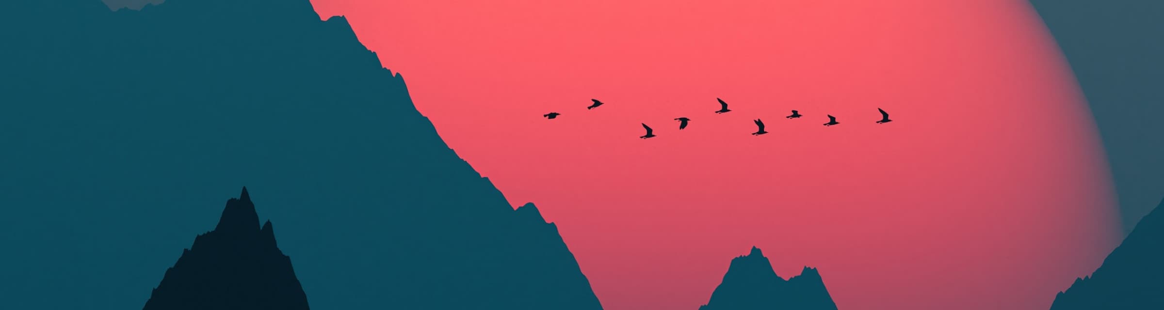User profile banner