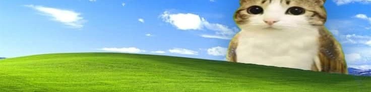 User profile banner