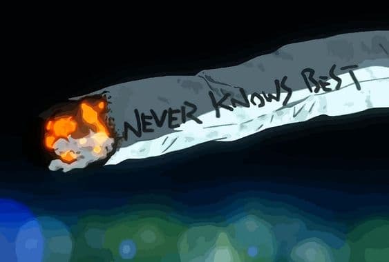 User profile banner