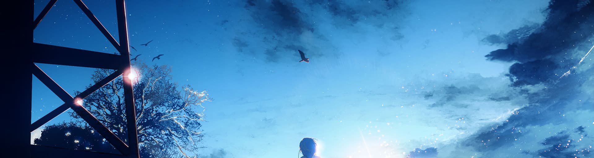 User profile banner