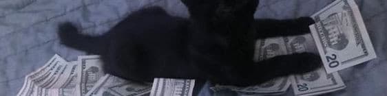 User profile banner