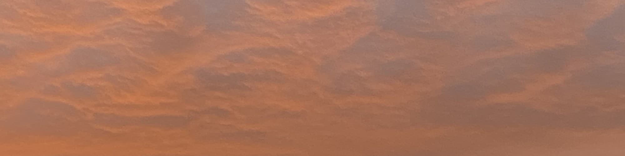 User profile banner
