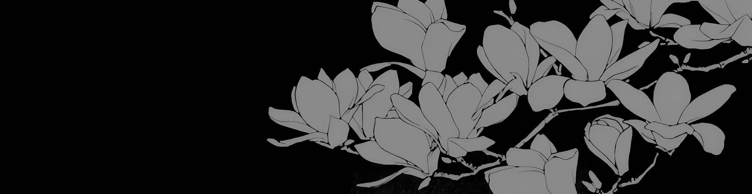 User profile banner