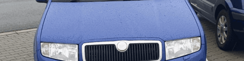 User profile banner