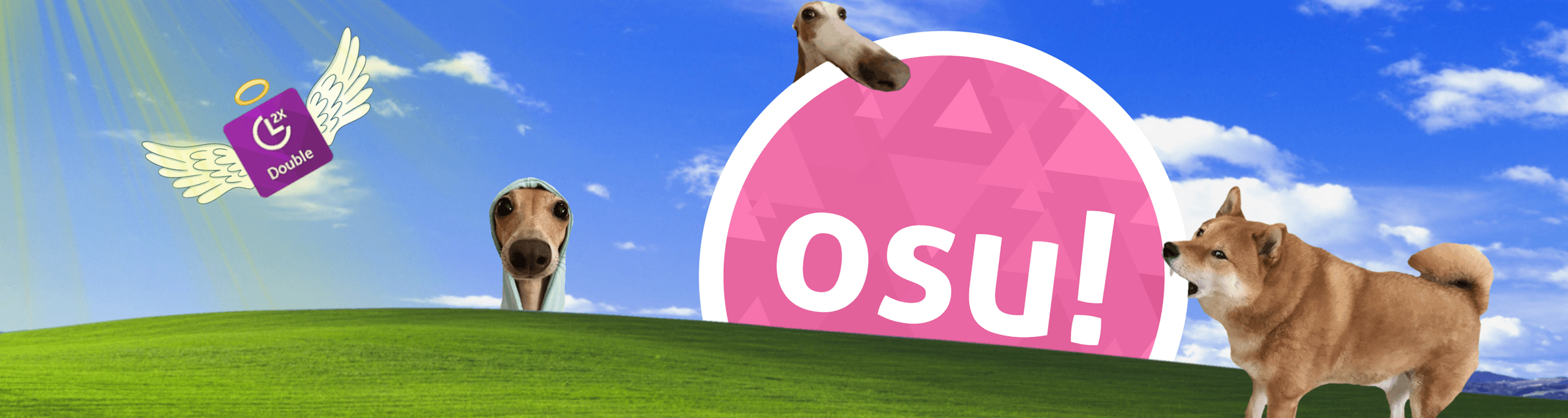 User profile banner
