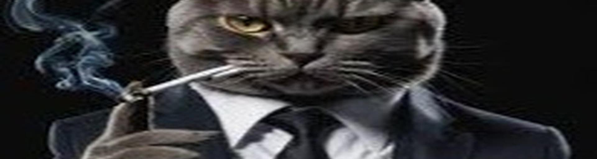 User profile banner