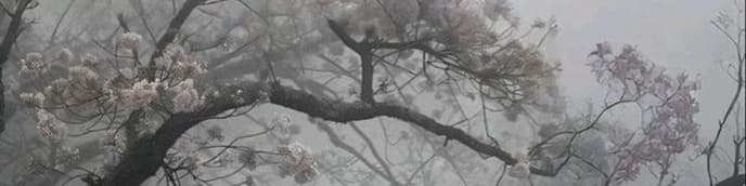 User profile banner