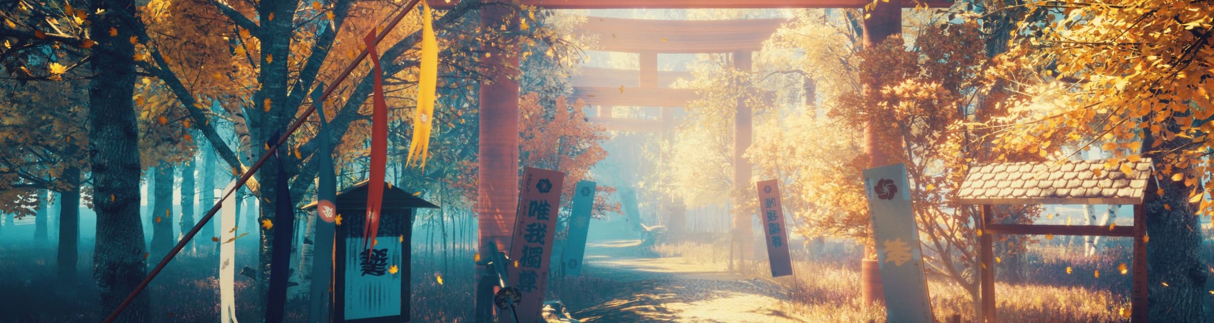 User profile banner