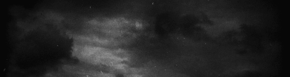 User profile banner