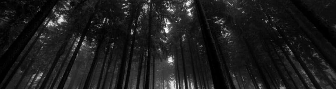 User profile banner
