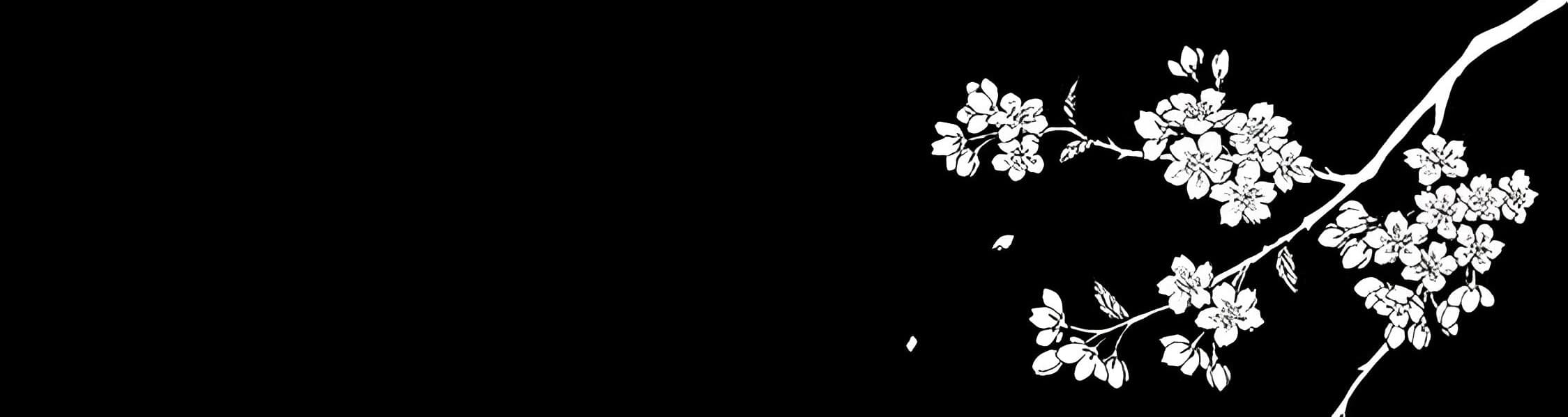 User profile banner
