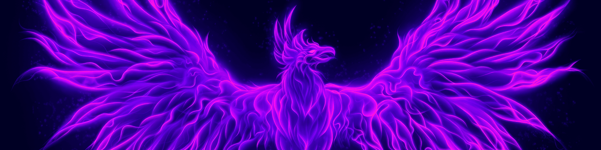 User profile banner