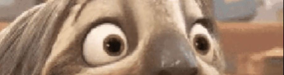 User profile banner