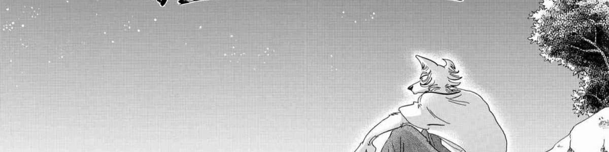 User profile banner