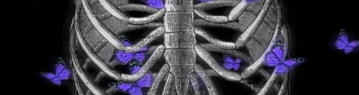 User profile banner