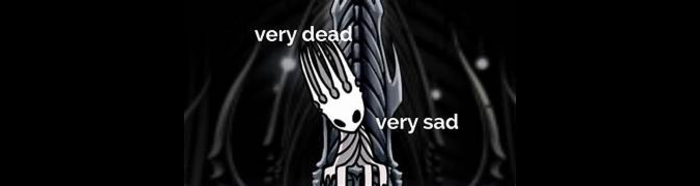 User profile banner