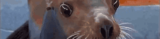 User profile banner