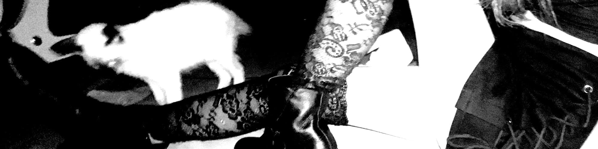 User profile banner