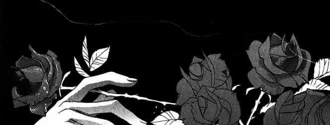 User profile banner