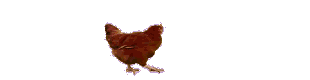 User profile banner