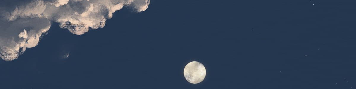 User profile banner