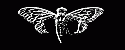 User profile banner