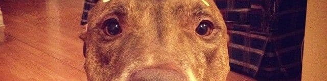 User profile banner