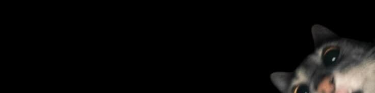User profile banner