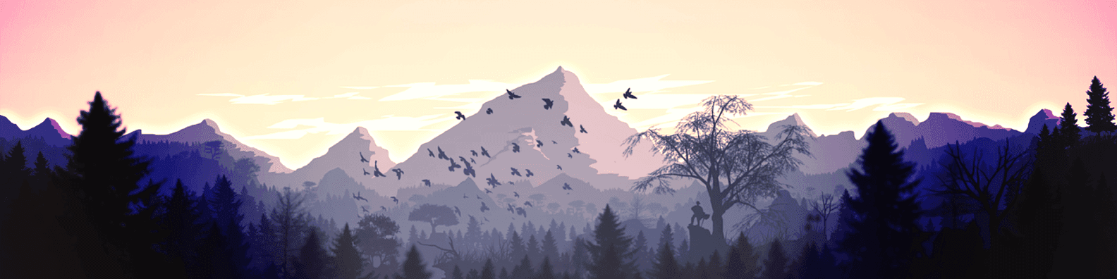 User profile banner