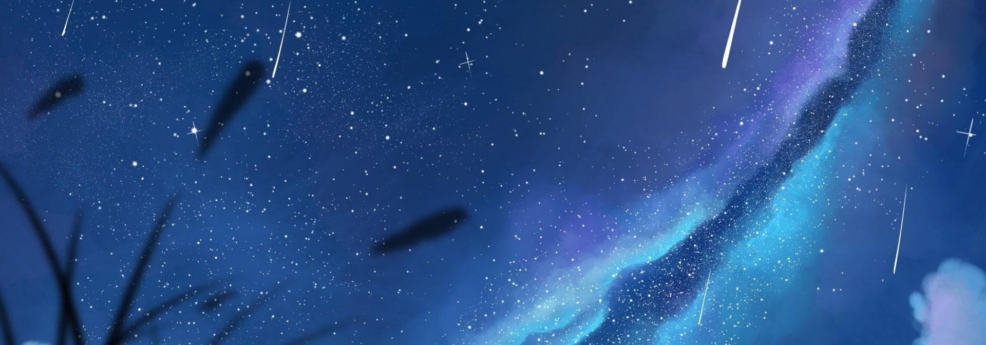 User profile banner
