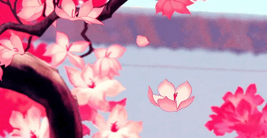 User profile banner