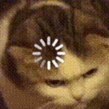 User profile banner