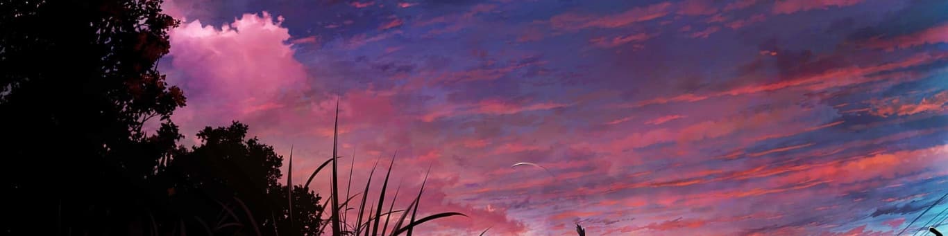 User profile banner