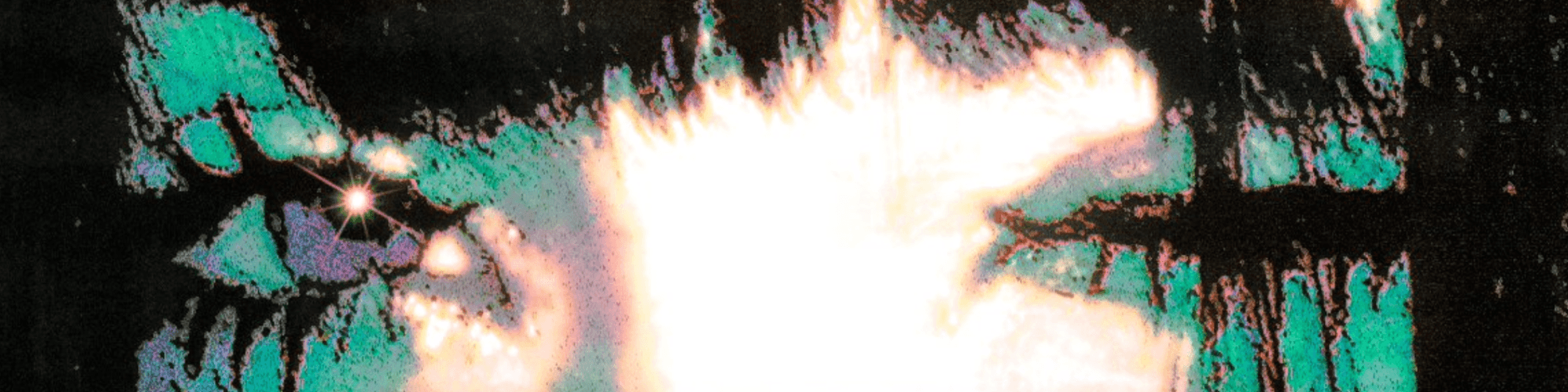 User profile banner