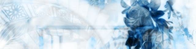 User profile banner