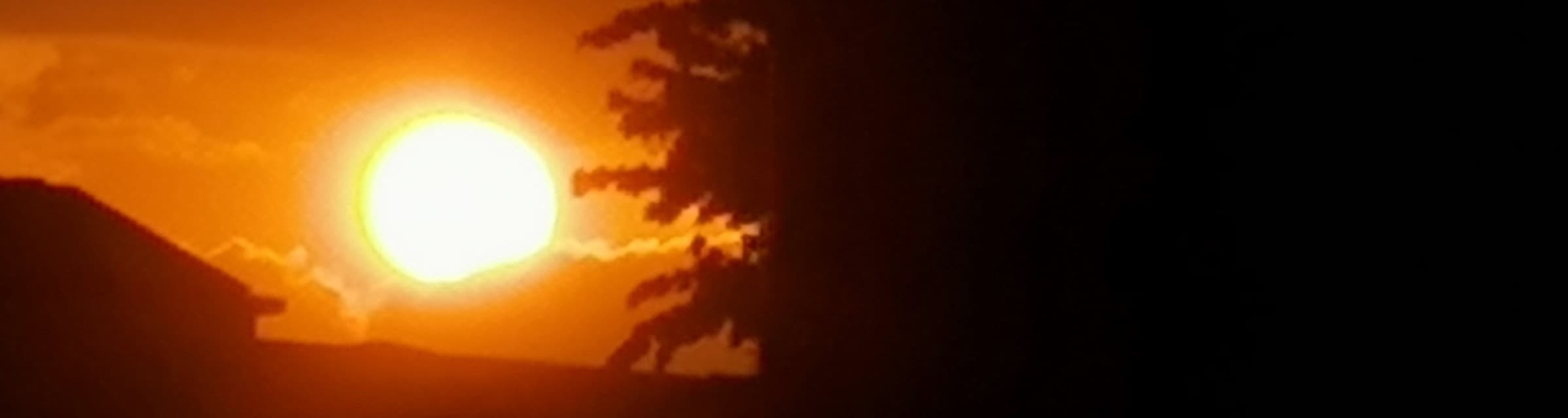 User profile banner