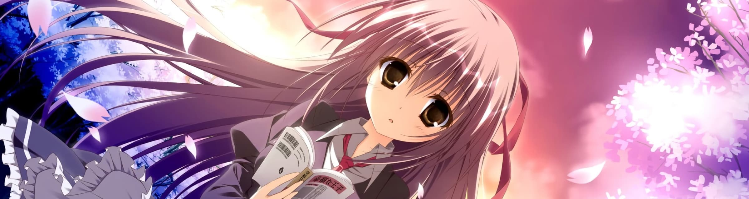 User profile banner