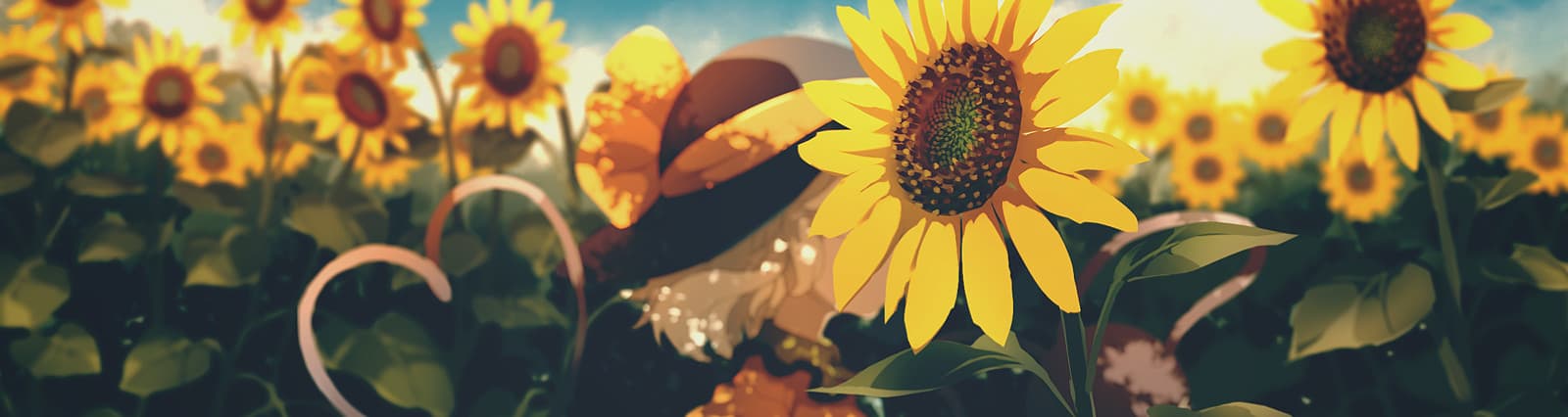 User profile banner